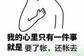 泰来融资清欠服务